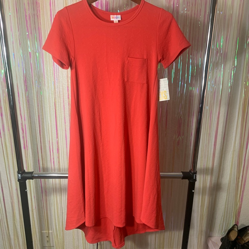 NWT LulaRoe “Carly” Dress - Picture 1 of 5